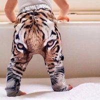 Штаны для мальчика